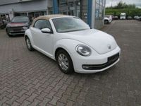 gebraucht VW Beetle Design BMT Cabriolet (5C7)