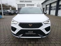 Gebraucht Cupra Ateca 150 PS (110 kW) 2025 "nevada" weiss SUV