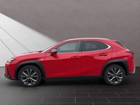 Gebraucht Lexus UX 250h Sport Line 152 PS (111 kW) 2024 Solid red SUV