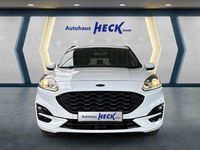 Gebraucht Ford Kuga ST-Line 150 PS (110 kW) 2020 Weiß SUV