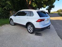 Gebraucht VW Tiguan Move 150 PS (110 kW) 2023 Weiß SUV