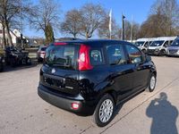 Neu Fiat Panda 65 PS (47 kW) 2026 Schwarz Kleinwagen