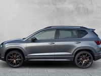 Neu Cupra Ateca 300 PS (220 kW) 2025 Grau SUV