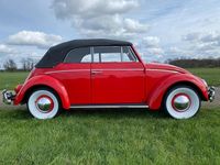 Gebraucht VW Käfer 34 PS (25 kW) 1962 Rot Cabrio