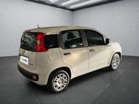 Neu Fiat Panda 65 PS (47 kW) 2025 Weiß Kleinwagen