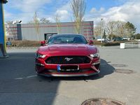 gebraucht Ford Mustang MustangGTCoupé V8 450PS Aut/Shelby-Felgen