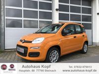 Gebraucht Fiat Panda Easy 69 PS (50 kW) 2019 Orange Kleinwagen