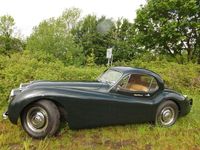 Gebraucht Jaguar XK 162 PS (119 kW) 1953 Grün Coupé