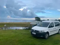 Brugt VW Caddy Maxi 102 HK (75 kW) 2019 Hvid MPV