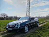 Gebraucht Mercedes CLK230 195 PS (143 kW) 2001 Schwarz Cabrio
