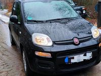 Gebraucht Fiat Panda Easy 69 PS (50 kW) 2018 Schwarz Kleinwagen