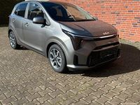 Neu Kia Picanto Vision 68 PS (50 kW) 2026 Grau Kleinwagen