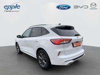 Gebraucht Ford Kuga ST-Line 150 PS (110 kW) 2021 Frostweiß SUV
