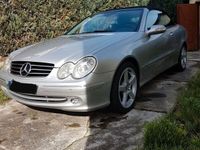 gebraucht Mercedes CLK200 Cabrio Avantgarde Bi-Xenon Nappa