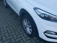 Gebraucht Hyundai Tucson 177 PS (130 kW) 2016 Weiß SUV