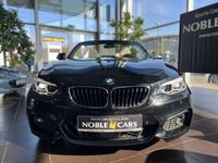 gebraucht BMW 220 i Cabrio M Sport AHK H&K LED NAV SHZ DAB 18"