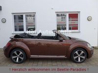 Gebraucht VW Beetle Allstar 150 PS (110 kW) 2017 Braun Kleinwagen
