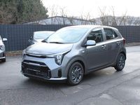 Neu Kia Picanto Vision 63 PS (46 kW) 2026 Grau Kleinwagen