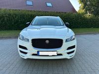 Gebraucht Jaguar F-Pace 300 PS (220 kW) 2017 Weiß SUV
