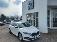 Gebraucht Skoda Octavia Style 116 PS (85 kW) 2023 Weiß Kombi