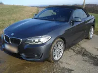 Gebraucht BMW 220 Advantage 190 PS (139 kW) 2015 Grau Cabrio