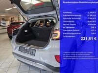Gebraucht Ford Puma Titanium 155 PS (114 kW) 2021 Fancygrau (metallic) SUV