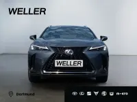 Neu Lexus UX 300h Sport Design Packet 199 PS (146 kW) 2025 Grau SUV