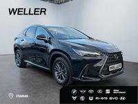 Gebraucht Lexus NX450h+ E-FOUR Executive Line 309 PS (227 kW) 2025 Schwarz SUV