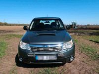 Occasion Subaru Forester 150 ch (110 kW) 2008 Vert SUV
