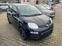 gebraucht Fiat Panda Panda