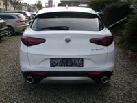 Gebraucht Alfa Romeo Stelvio Super 160 PS (117 kW) 2021 Weiß SUV