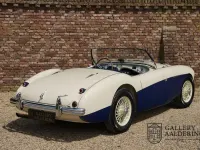 Brugt Austin Healey 100 1954 Hvid Cabriolet