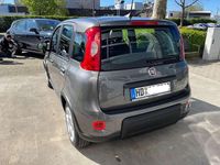 Gebraucht Fiat Panda 69 PS (50 kW) 2024 Grau Kleinwagen