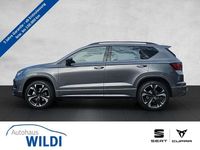 Usata Cupra Ateca 190 CV (139 kW) 2025 Grigio SUV