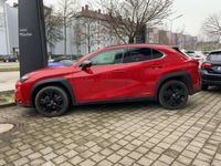 gebraucht Lexus UX 250h Style + Edition ACC FLA ParkAss. SpurW