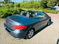 Gebraucht Peugeot 307 CC 140 PS (102 kW) 2006 Grau Cabrio