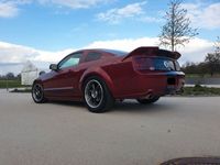 gebraucht Ford Mustang GT V8 - Roush Optik