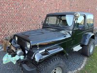 Gebraucht Jeep Wrangler 121 PS (88 kW) 1994 Schwarz SUV