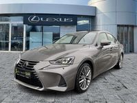 Gebraucht Lexus IS300h Luxury Line 223 PS (164 kW) 2021 Mangangrau Limousine