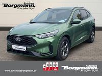 Gebraucht Ford Kuga ST-Line 151 PS (111 kW) 2025 Gruen SUV