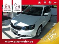 Gebraucht Skoda Fabia Joy 90 PS (66 kW) 2016 Weiß metallic Kleinwagen