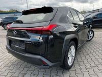 gebraucht Lexus UX 250h Hybrid Luxury Line