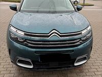 Gebraucht Citroën C5 Aircross 181 PS (133 kW) 2019 Grün SUV