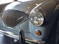 Brugt Austin Healey 100 90 HK (66 kW) 1954 Blå Cabriolet