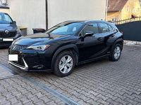 Gebraucht Lexus UX 250h Executive Line 152 PS (111 kW) 2022 Grau SUV