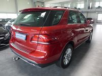 gebraucht Mercedes GLE250 d 4M 9-G DISTR.-AHK-COMAND-SD-ILS-AMBIEN