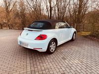 Gebraucht VW Beetle Allstar 104 PS (76 kW) 2016 Weiß Kleinwagen