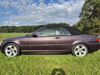 Gebraucht BMW 320 Cabriolet Shadowline 170 PS (125 kW) 2004 Violett Cabrio