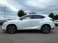 gebraucht Lexus NX300h Style Edition