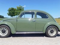 Gebraucht VW Käfer 65 PS (47 kW) 1954